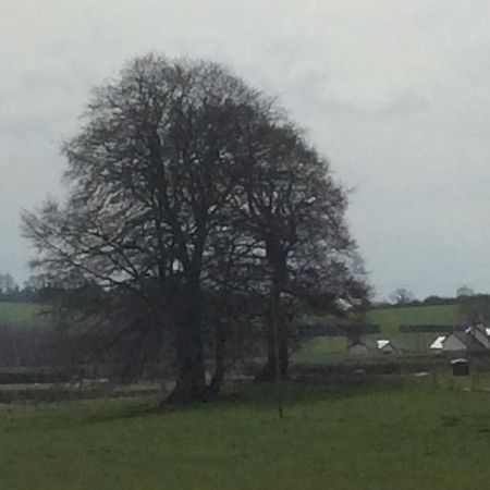 Rathgillen Lodge Nobber 外观 照片